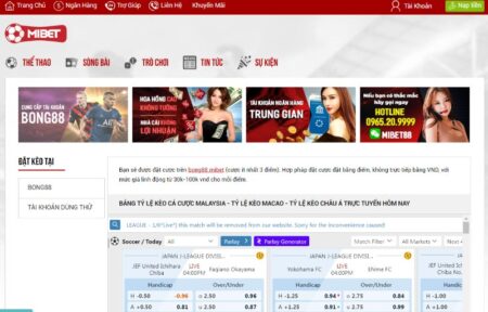 huong-dan-cach-tham-gia-ca-cuoc-the-thao-tai-mibet